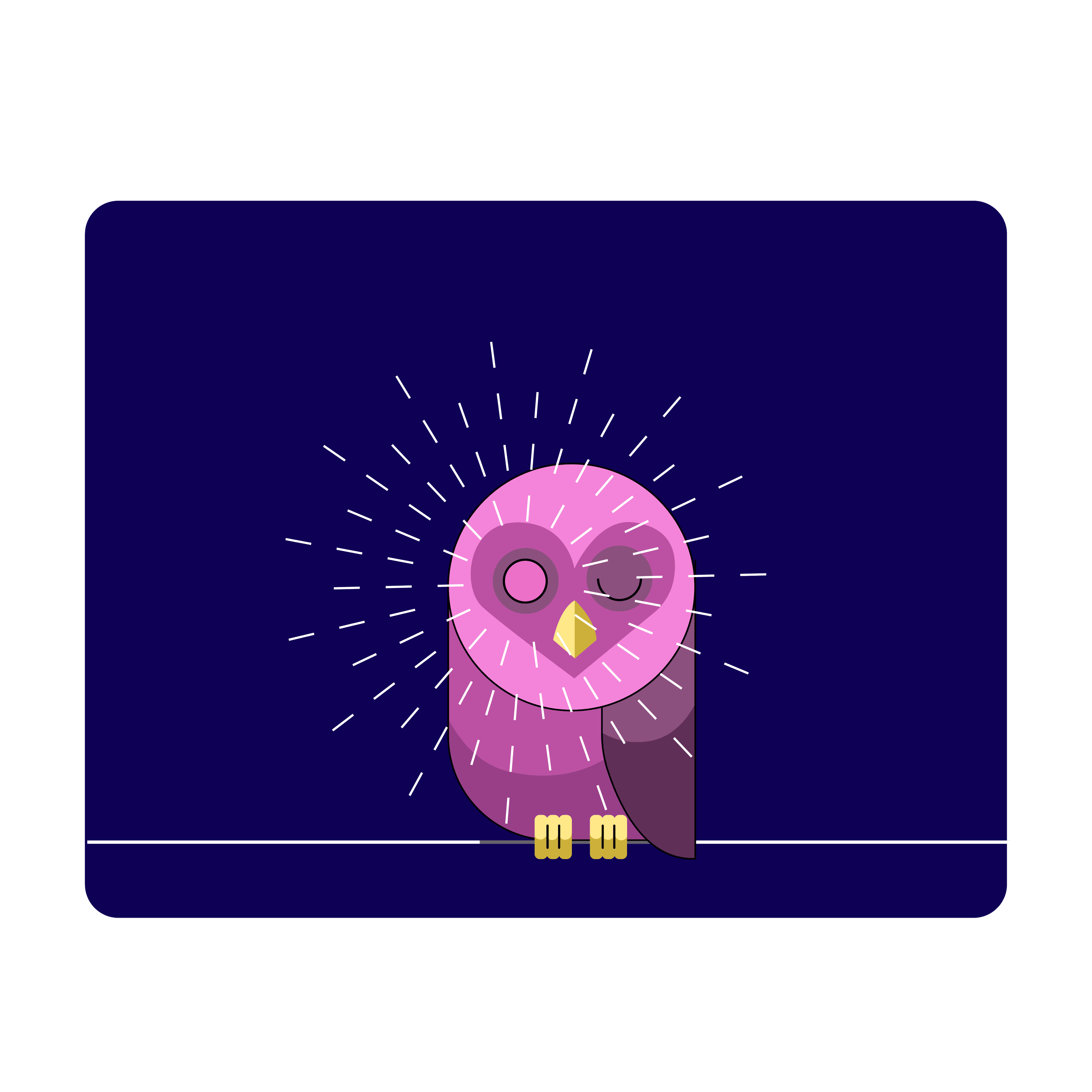 Owl with radiating wisdom light